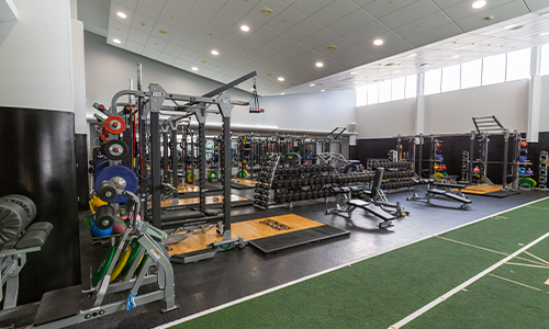 Elite Fitness Facilities  Adams Centre for High Performance